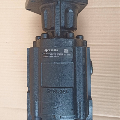 Hoge garantie Dieci BHD3119 Hydraulische pomp Casappa 799141AS